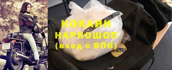 крисы Алзамай