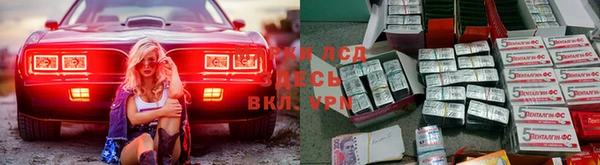 spice Алексеевка