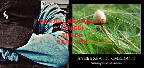тгк Лиски