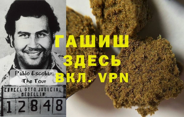 гидра Алексин