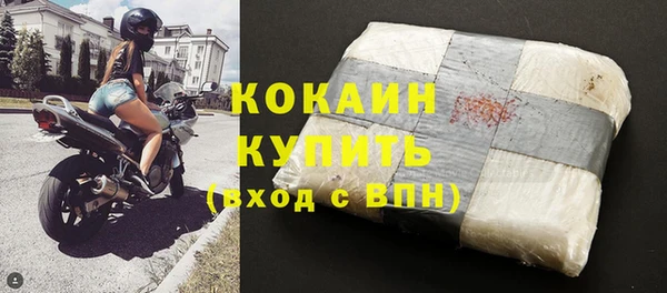 крисы Алзамай